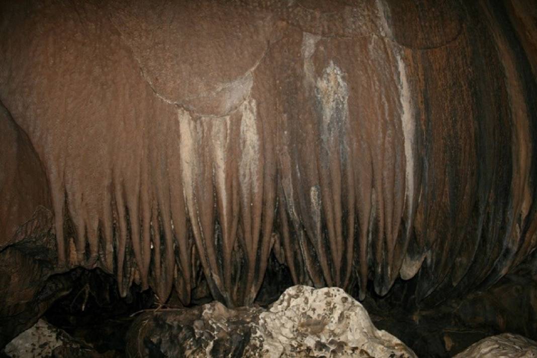 Konya'da heyecan arayanlar soluğu burada alıyor: Hassas hayvan türlerininde yuvası 18